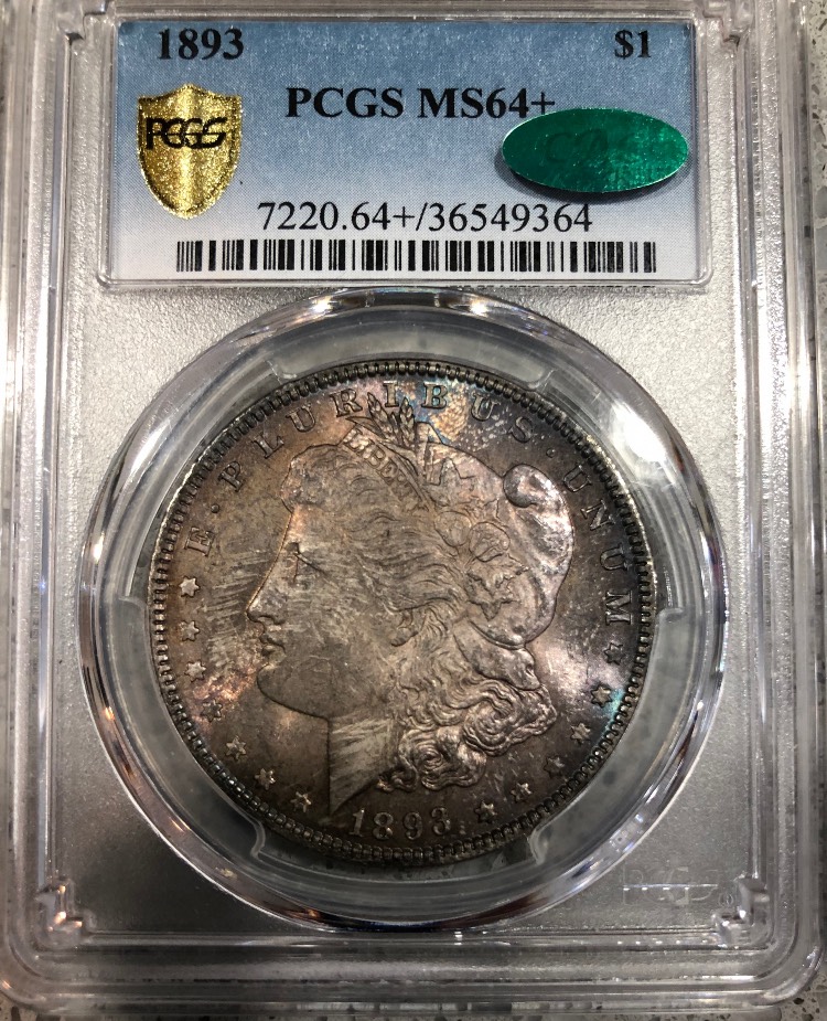 PCGS-Morgan-Dollar-Basic-Set
